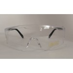 Lentes Protectores Ajustables